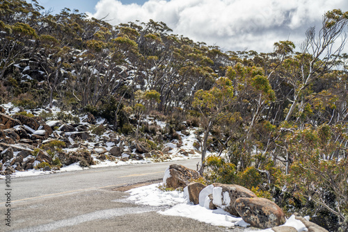 family's playing in snow on the peak of a rocky mountain in a national park looking over a city below, mt wellington hobart tasmania australia in summer. ice on the roads. roads closed photo