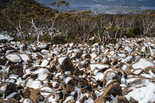 family's playing in snow on the peak of a rocky mountain in a national park looking over a city below, mt wellington hobart tasmania australia in summer. ice on the roads. roads closed photo