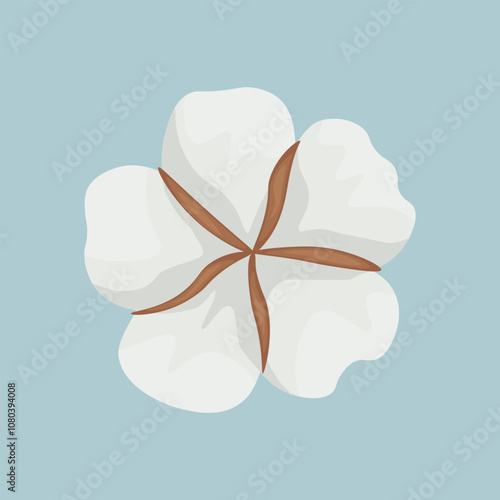 Cotton. A white cotton box. Cotton wool. The ripe fruit of a cotton plant. Vector illustration isolated on a white background.