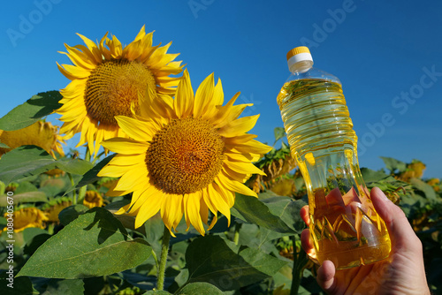 Human hand holding bottle of sunflower oil near sunflower in field