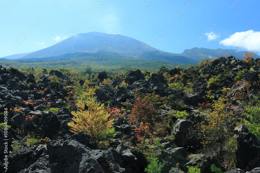 Fototapeta premium 鬼押出し園