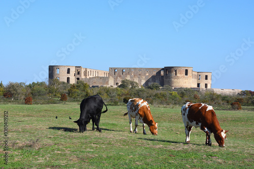 Schloss Borgholm auf der Insel Öland	 photo