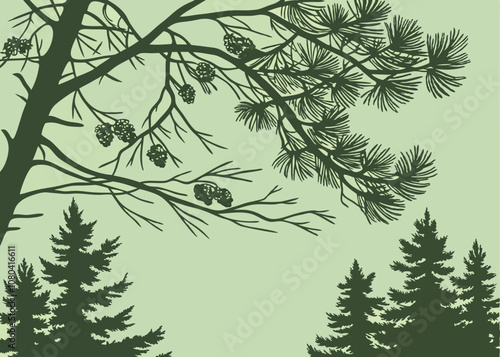 Pine Tree Branch Silhouette with Cones - Vector Illustration.