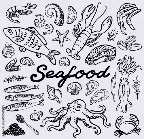 Whimsical Style Hand drawn Seafood illustration collection