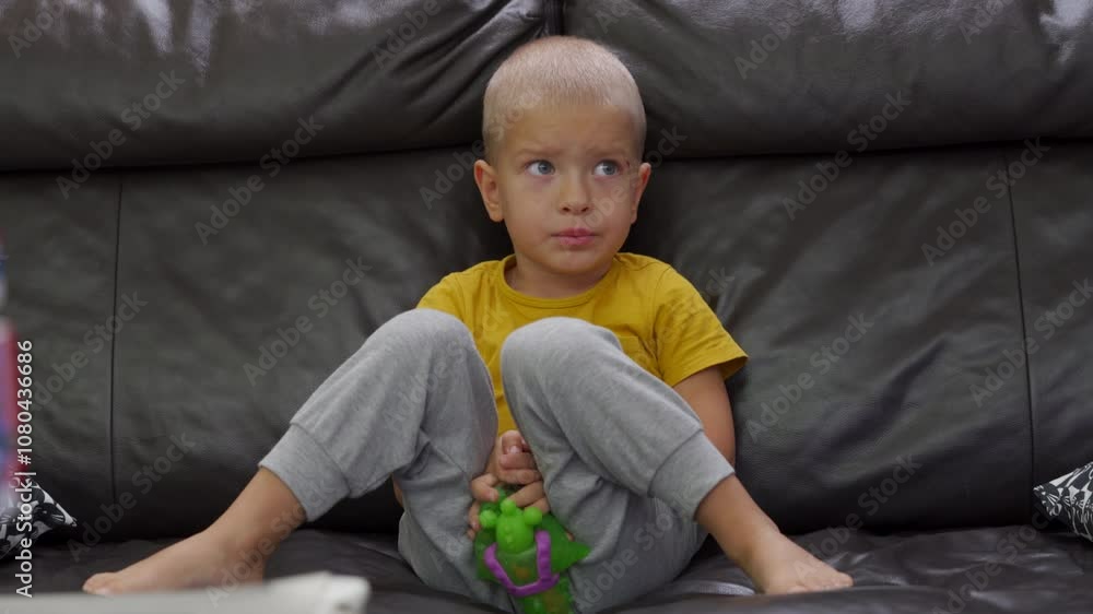 concentrated little child boy sitting on sofa and watching cartoon attentively on tv at home concentrated little child boy sitting on sofa and watching cartoon attentively on tv at home