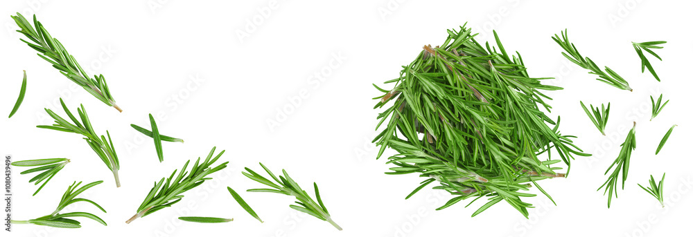 Obraz premium Rosemary twig and leaves isolated on white background. Top view with copy space for your text. Flat lay