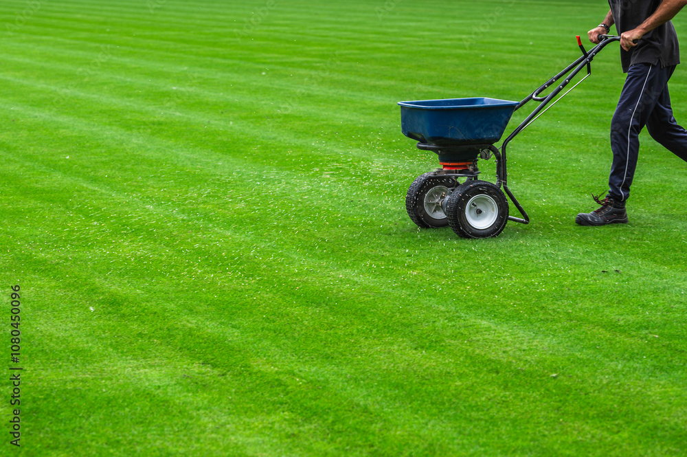Groundsman spreads fertilizer for grass on a football pitch