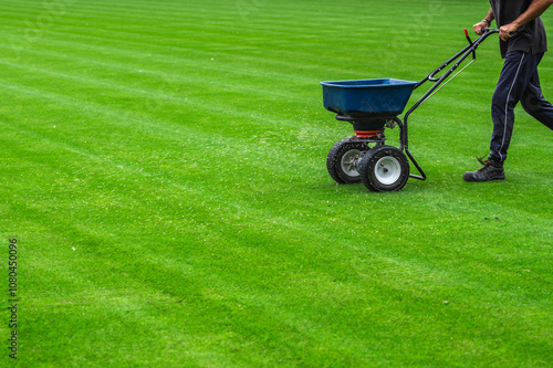 Obraz na płótnie Groundsman spreads fertilizer for grass on a football pitch w salonie