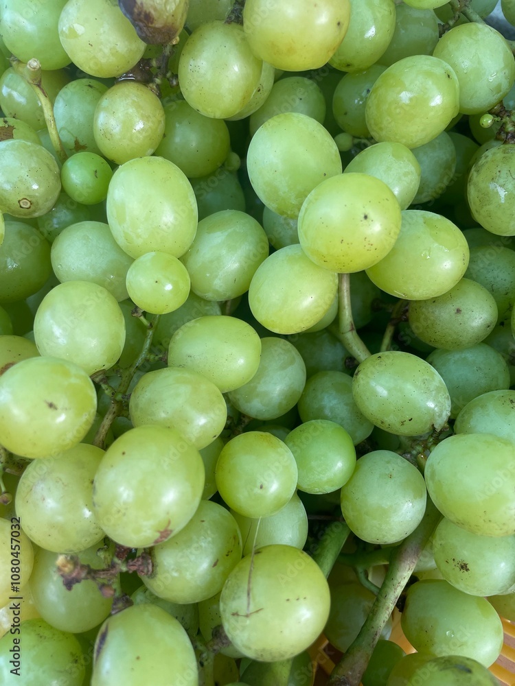 green grapes close up green grapes close up