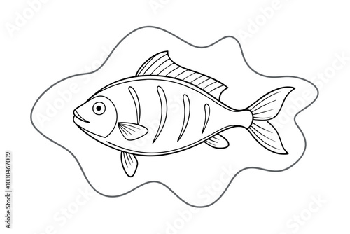 Snapper Fish Line Art Vector 