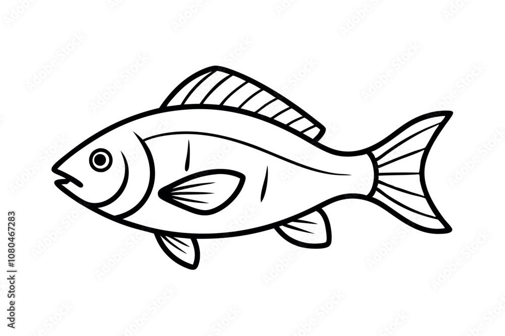 Snapper Fish Line Art Vector Snapper Fish Line Art Vector