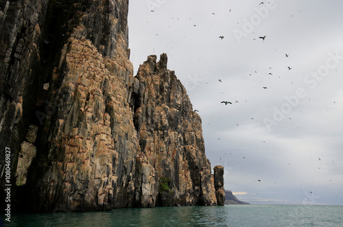 The spectacular Alkefjellet cliff with guillemots, dolerite columns, Svalbard photo