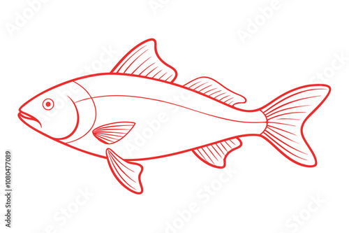 Redfish Line Art Vector photo