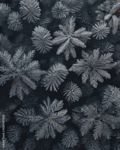 The winter scenery shows snow-covered trees in a dense forest.