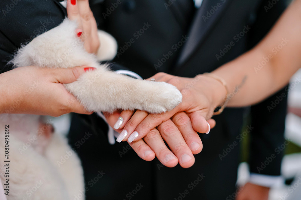Heartwarming Moment with Puppy Paw and Human Hands - Close-Up of Unity and Love, Featuring Elegant White Manicure, Red Nail Polish, and a Black Suit, Symbolizing Friendship, Care, and Connection Heartwarming Moment with Puppy Paw and Human Hands - Close-Up of Unity and Love, Featuring Elegant White Manicure, Red Nail Polish, and a Black Suit, Symbolizing Friendship, Care, and Connection