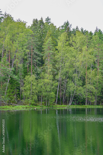 Idyllic Lake Certoks in Čertoka ezera skatapunkts National Park near Aglona, ​​Latvia – beautiful trees and reflection in the water