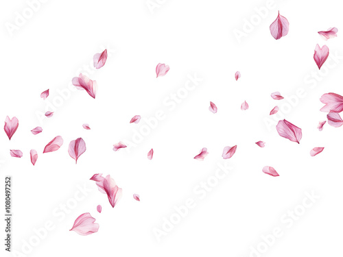rose background