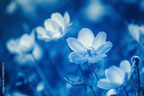 Soft blue flowers bloom with gentle petals creating a serene and dreamy natural scene.