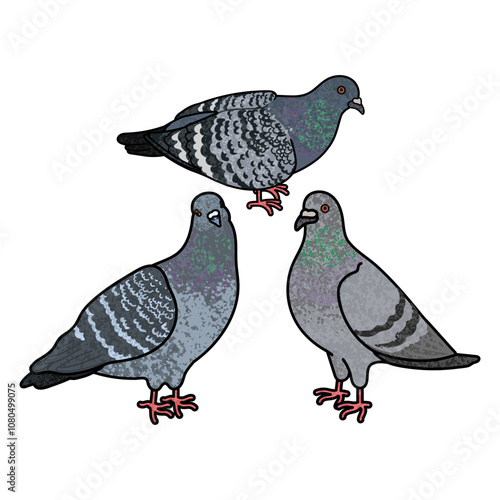 Flock of Pigeons Colorful Illustration