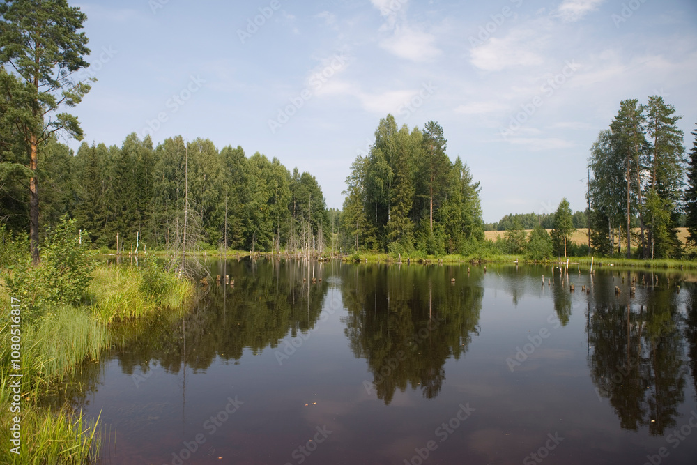 Obraz premium Russia Perm Krai landscape with river on a cloudy summer day