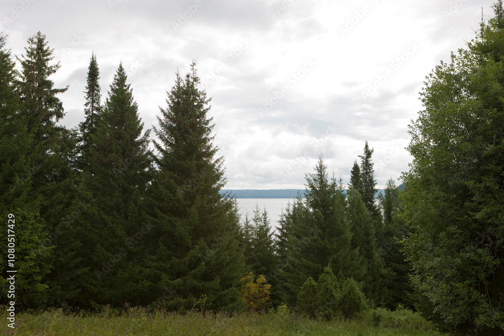 Russia Perm Krai taiga landscape on a summer cloudy day Russia Perm Krai taiga landscape on a summer cloudy day