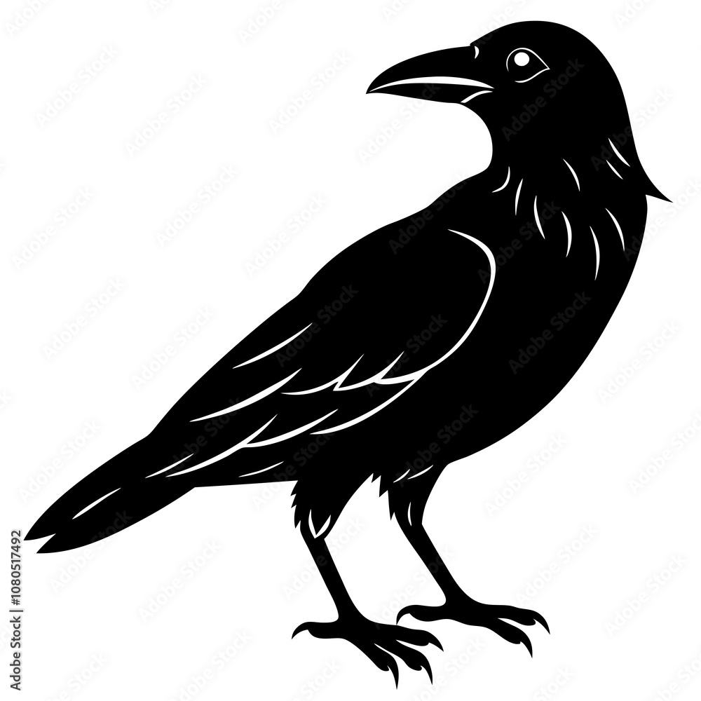 Crow vector silhouette art illustration Crow vector silhouette art illustration