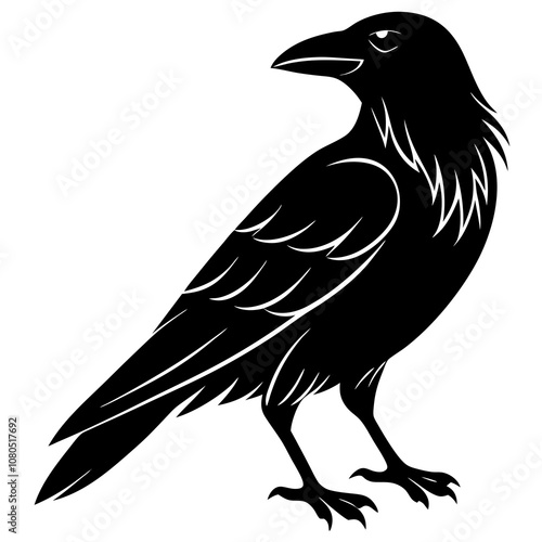 Crow vector silhouette art illustration photo