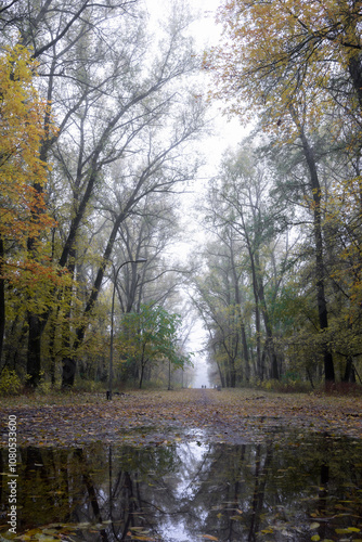 Misty autumn park with fallen leaves on a puddle and a blurred figure walking.