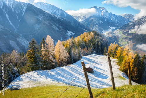 erster Schnee im Herbst - Winter 2024 - 2025