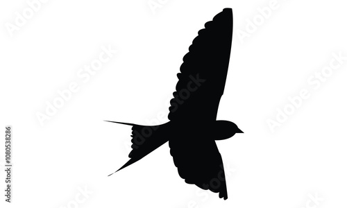 Barn Swallow Silhouette Design  And Vector Illustration. 