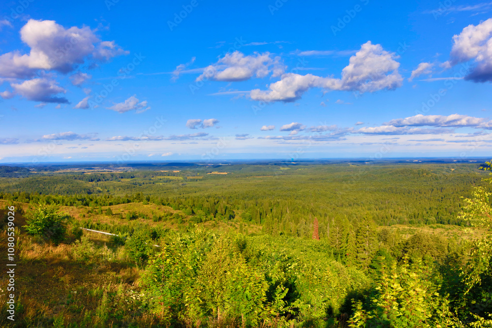 Russia Perm region forest landscape on a cloudy summer day Russia Perm region forest landscape on a cloudy summer day