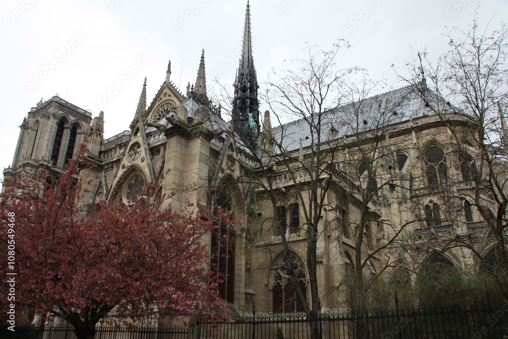 Fototapeta premium Notre Dame Cathedral view