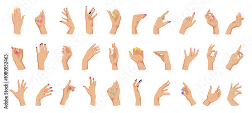 A collection of different hand positions and gestures. Vector illustration