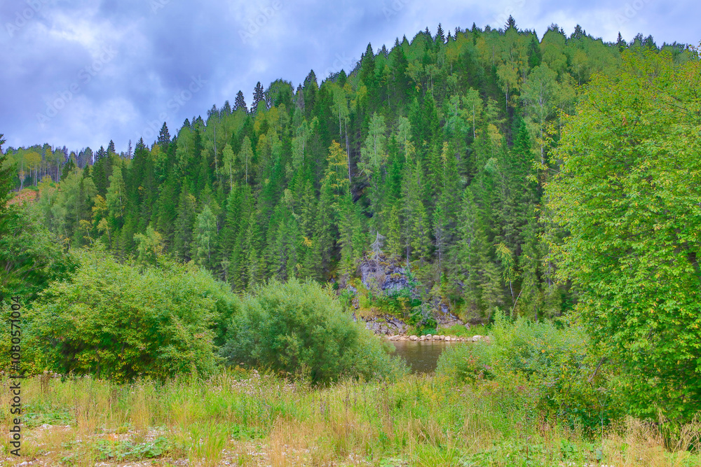 Russia Perm region taiga on a cloudy summer day Russia Perm region taiga on a cloudy summer day
