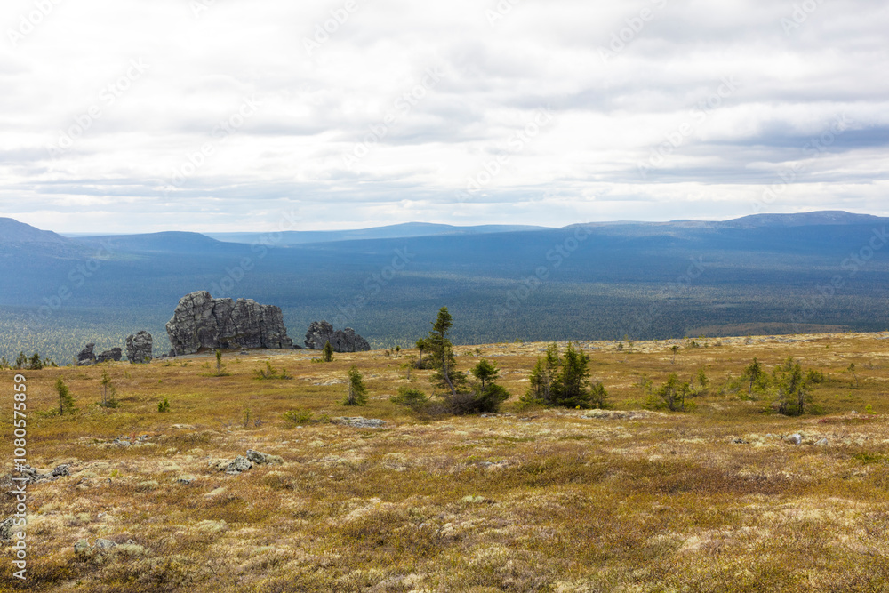 Russia Perm region forest landscape on a cloudy summer day Russia Perm region forest landscape on a cloudy summer day
