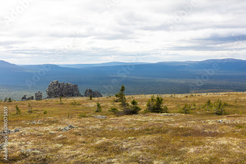 Russia Perm region forest landscape on a cloudy summer day