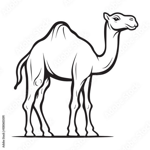 Camel line art vector on a white background