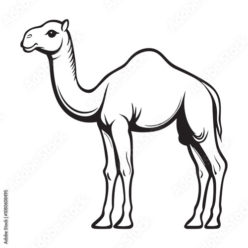 Camel line art vector on a white background