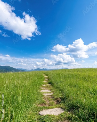 Scenic Meadow Footpath Surrounded by Tall Grass Gently Swaying in the Breeze Against a Backdrop of Blue Skies and Fluffy White Clouds