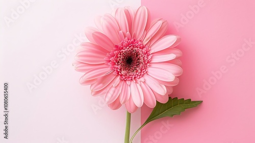 A vibrant pink flower against a pink backdrop, showcasing natural beauty and simplicity.