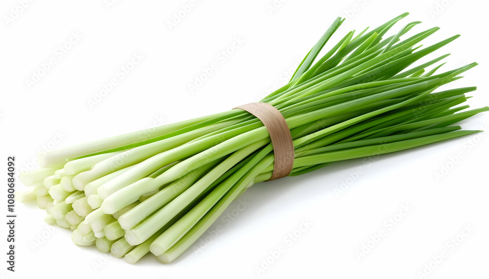 A bunch of fresh green garlic chives tied together with a brown string on a white background. A bunch of fresh green garlic chives tied together with a brown string on a white background.