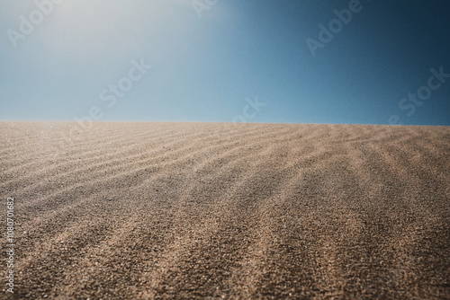 Sunny dune with sand ripples