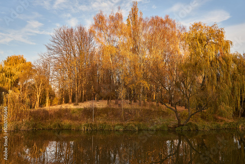 Foto Wild autumn park and sunset, golden hour