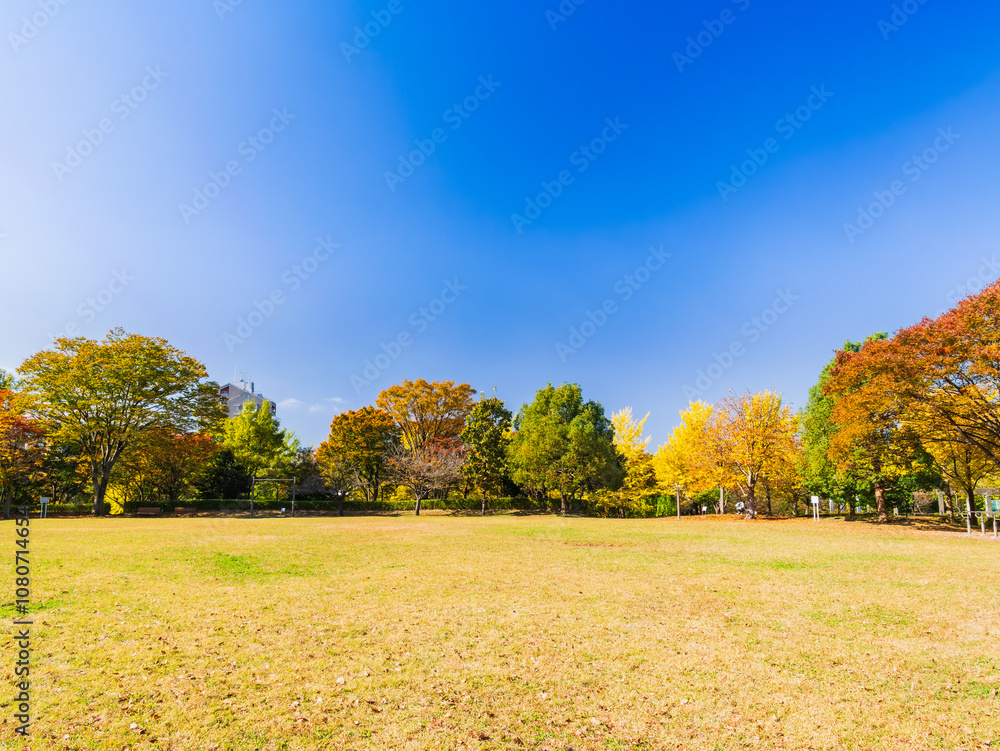 郊外の住宅地 紅葉の公園