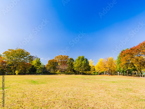 Obraz na płótnie 郊外の住宅地 紅葉の公園 w salonie