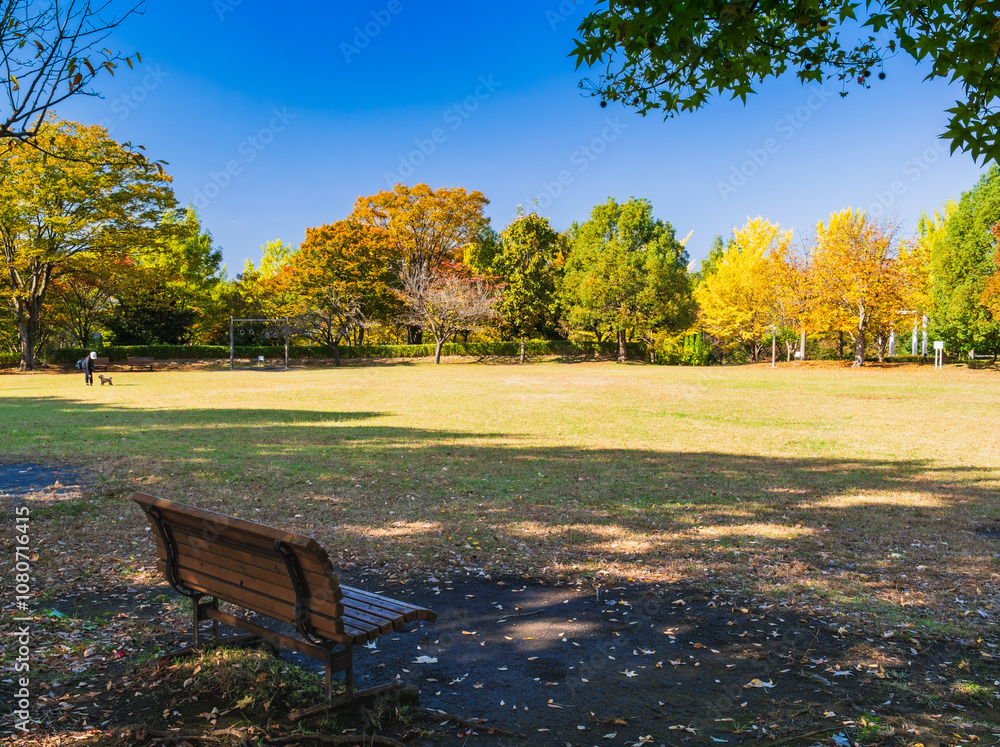 郊外の住宅地 紅葉の公園