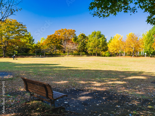 Obraz na płótnie 郊外の住宅地 紅葉の公園 w salonie