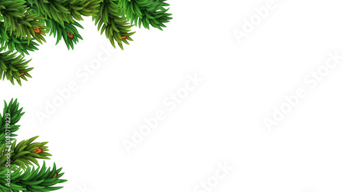Christmas tree branches isolated on white background. Border template for Christmas card.