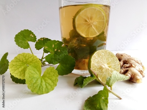 Herbal drink made from ginger, pegagan (centella asiatica), lime and mint leaves. photo