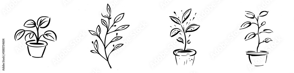 Hand drawn modern sketch illustration in doodle engraved vintage outline line art. Synang Thai Siamese Rosewood plant. Hand drawn modern sketch illustration in doodle engraved vintage outline line art. Synang Thai Siamese Rosewood plant.